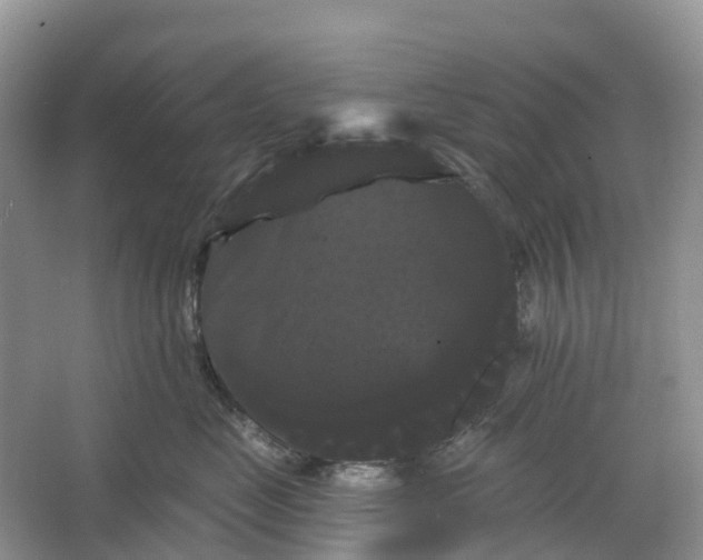 X0000066120669200603241611