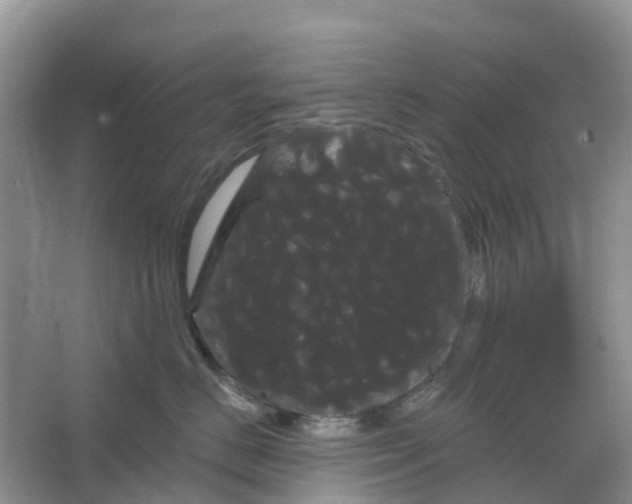 X0000066120670200603241611