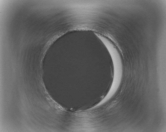 X0000066120673200603241611