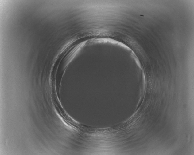 X0000066120674200603241611