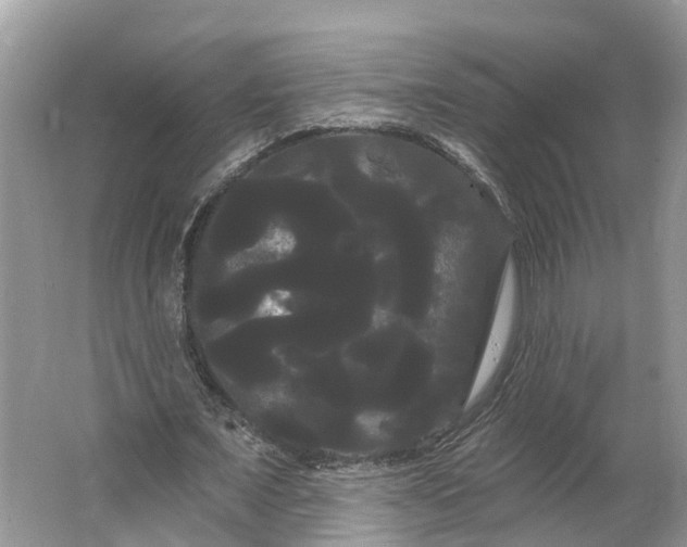 X0000066120675200603241611