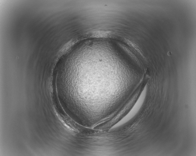 X0000066120682200603241611