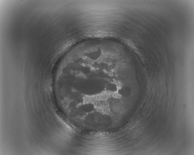 X0000066120683200603241611