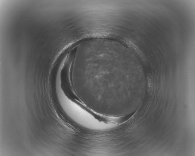 X0000066120684200603241611