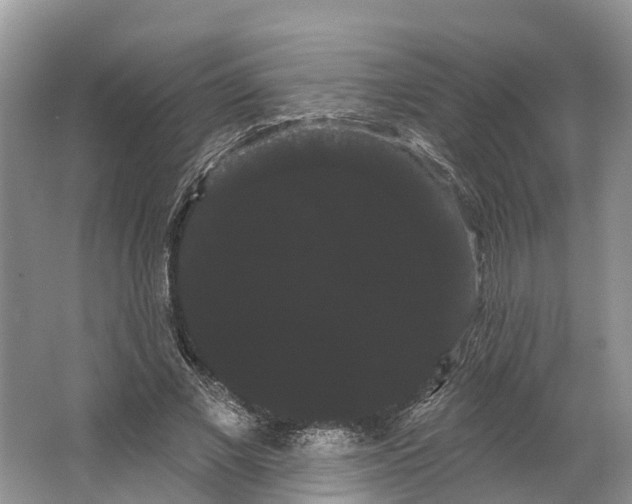 X0000066120685200603241611