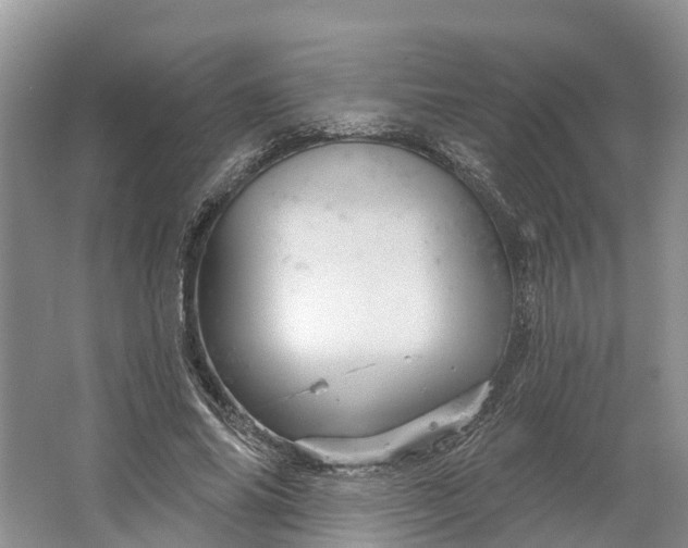 X0000066120686200603241610