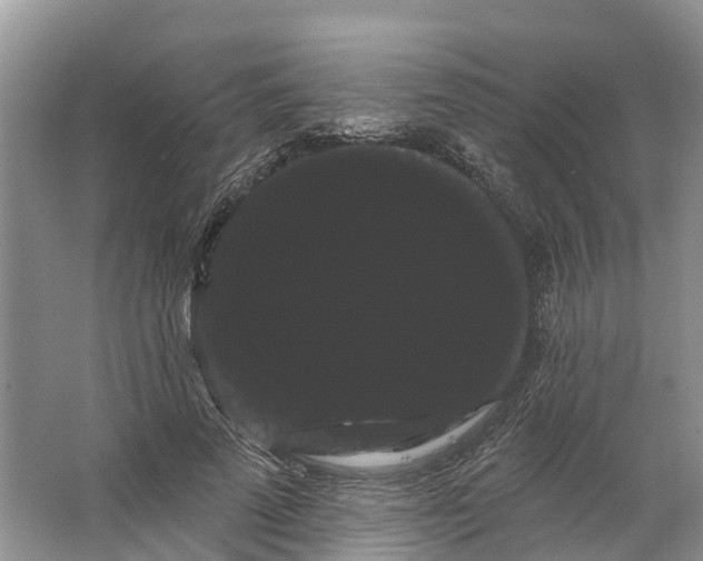 X0000066120689200603241610