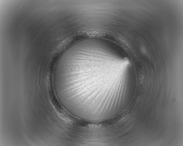 X0000066120690200603241610