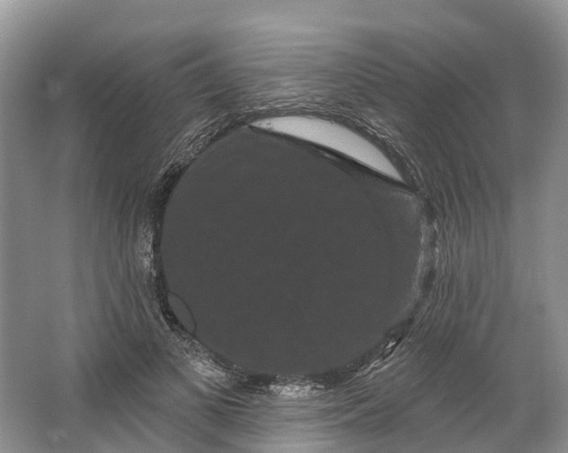 X0000066120693200603241610