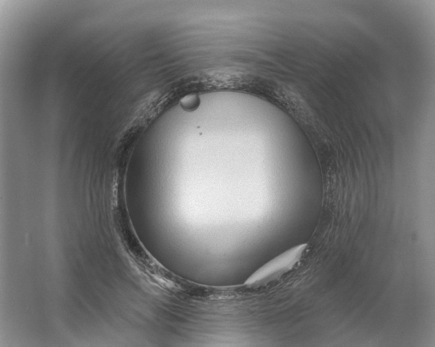 X0000066120694200603241610