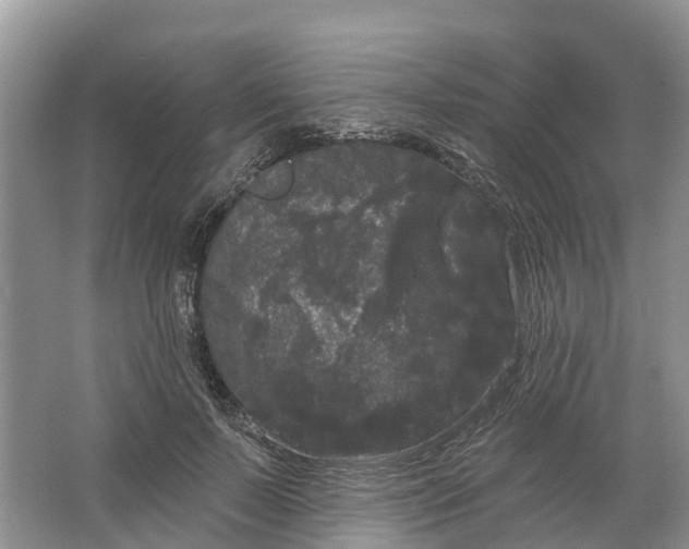 X0000066120695200603241610