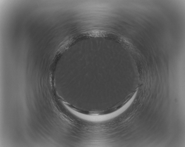 X0000066120696200603241610