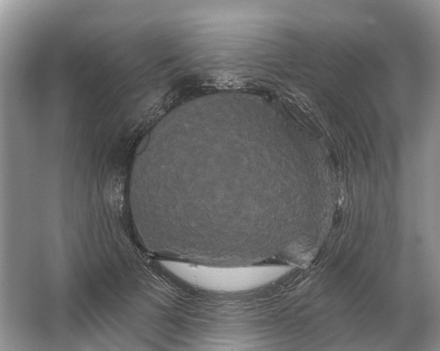 X0000066120697200603241610