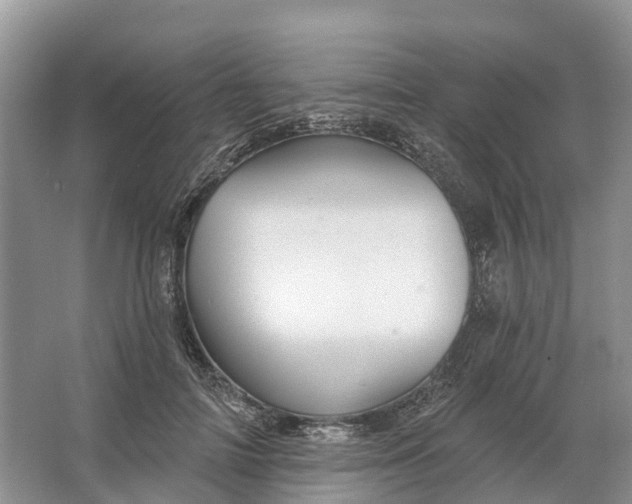 X0000066120698200603241610