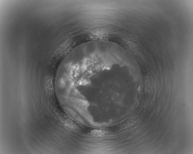 X0000066120699200603241610