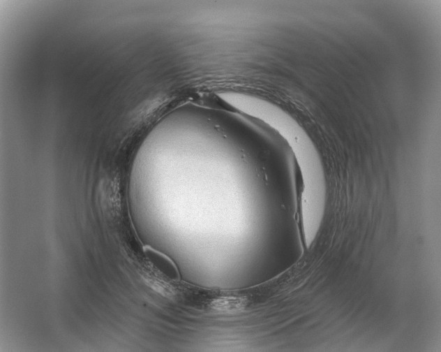 X0000066120700200603241610