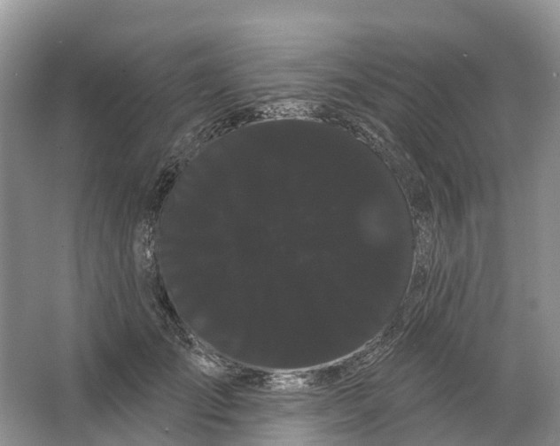 X0000066120701200603241610