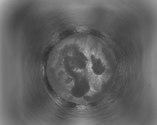 X0000066120703200603241610