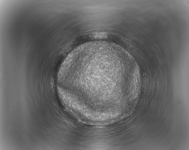 X0000066120704200603241610