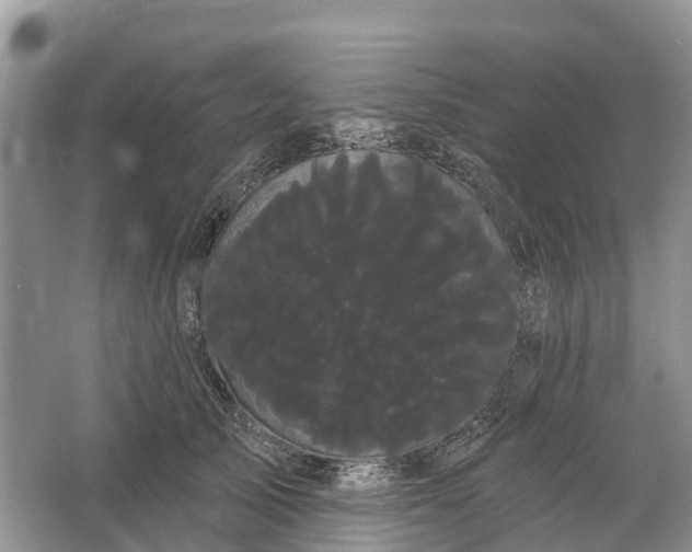 X0000066120705200603241610