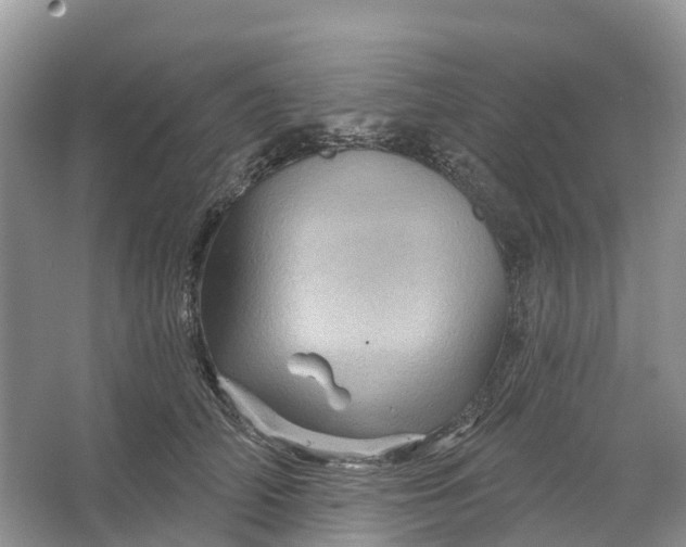 X0000066120706200603241610