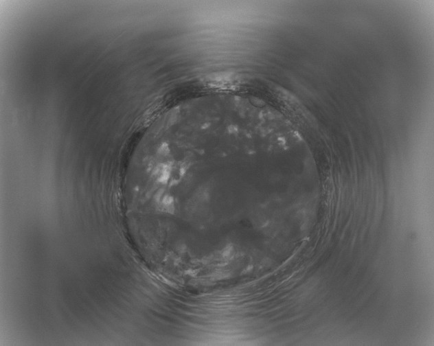 X0000066120707200603241610