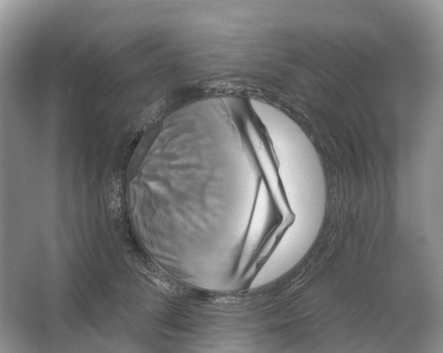 X0000066120708200603241610