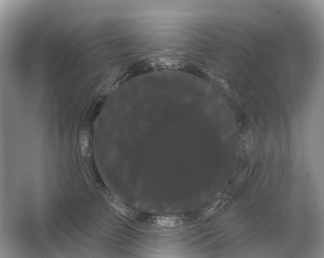 X0000066120709200603241610