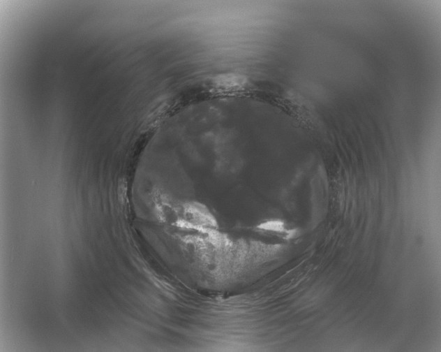 X0000066120711200603241610