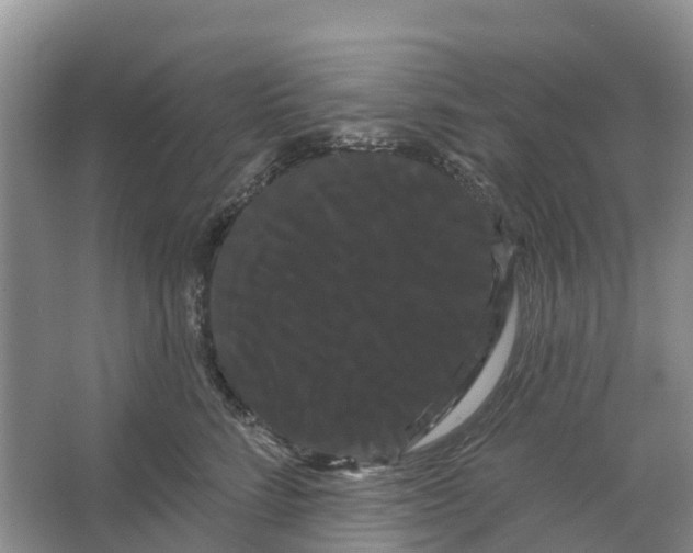 X0000066120712200603241610