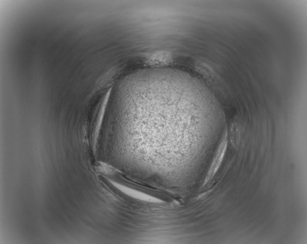 X0000066120714200603241610