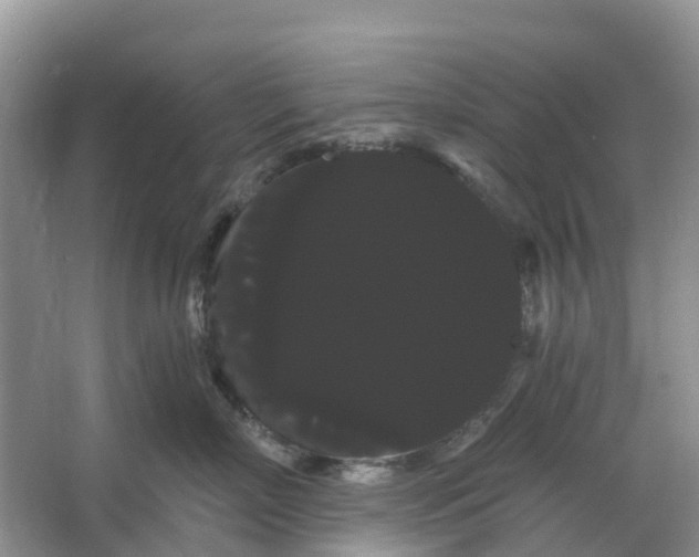 X0000066120718200603241610