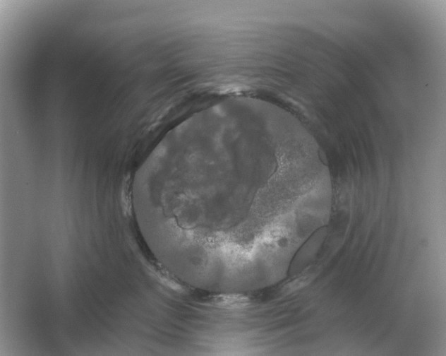 X0000066120719200603241610