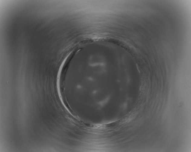 X0000066120720200603241610