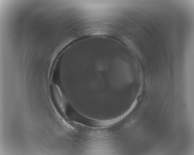 X0000066120721200603241609