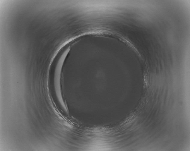 X0000066120724200603241609