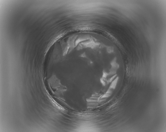 X0000066120725200603241609