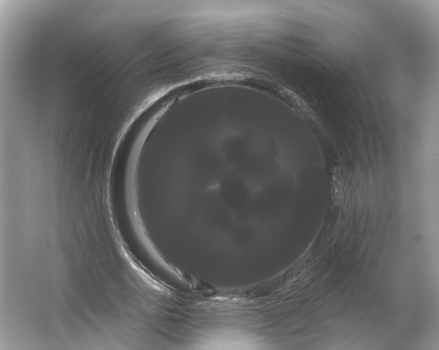 X0000066120726200603241609