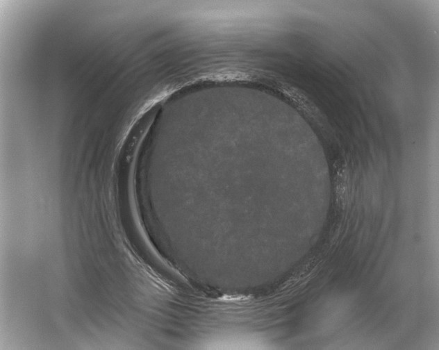 X0000066120727200603241609