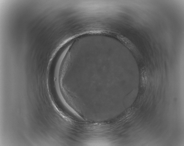 X0000066120728200603241609