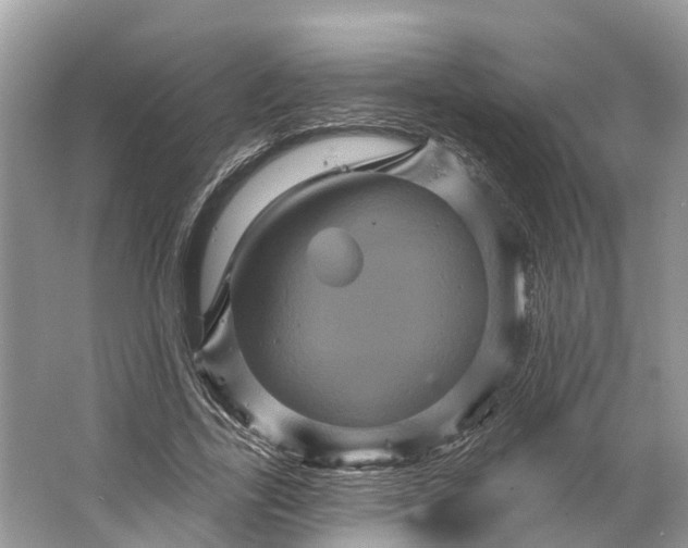 X0000066120731200603241609