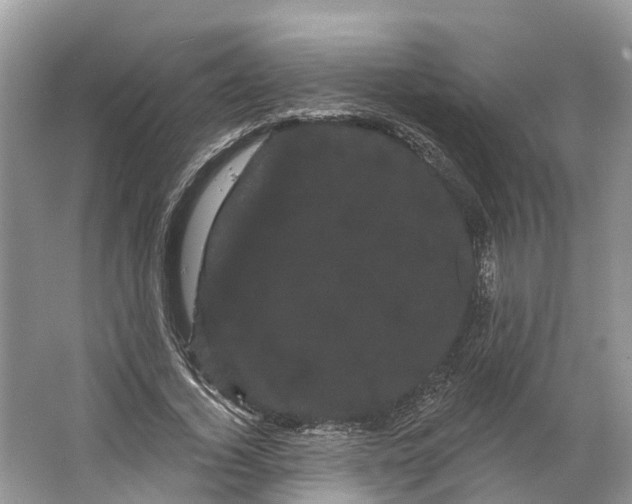 X0000066120732200603241609