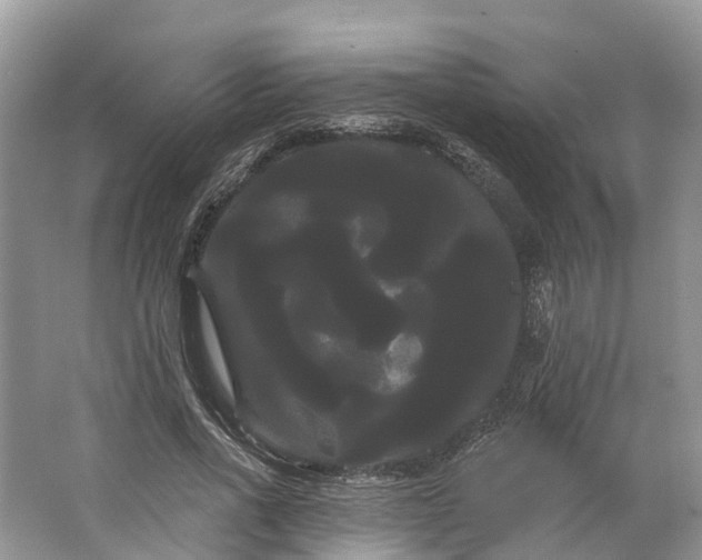 X0000066120734200603241609