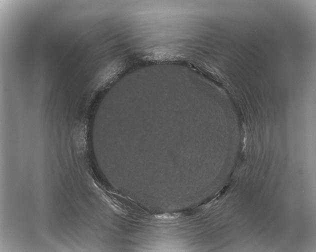 X0000066120735200603241609