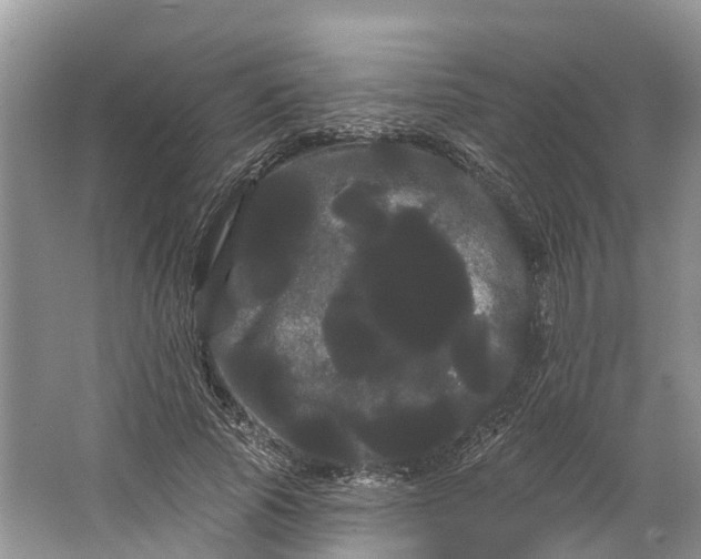 X0000066120737200603241609