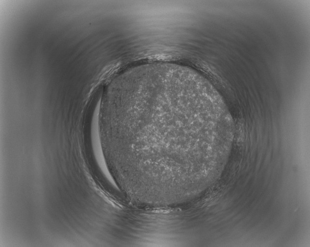 X0000066120738200603241609