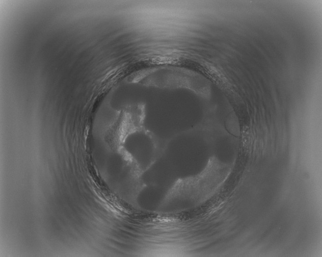 X0000066120741200603241609