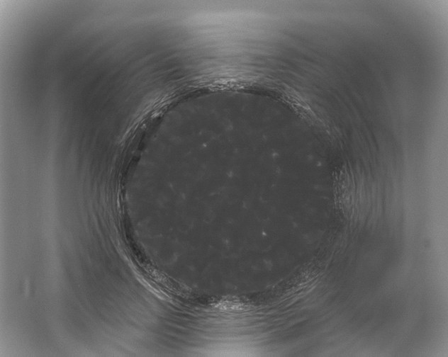 X0000066120742200603241609