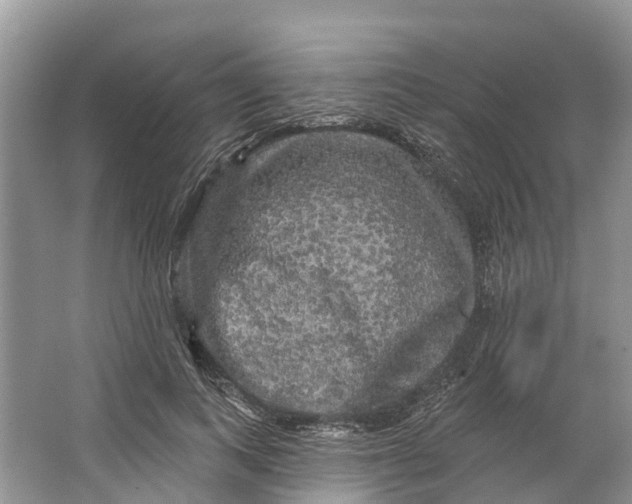 X0000066120743200603241609