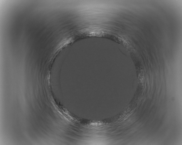 X0000066120744200603241609